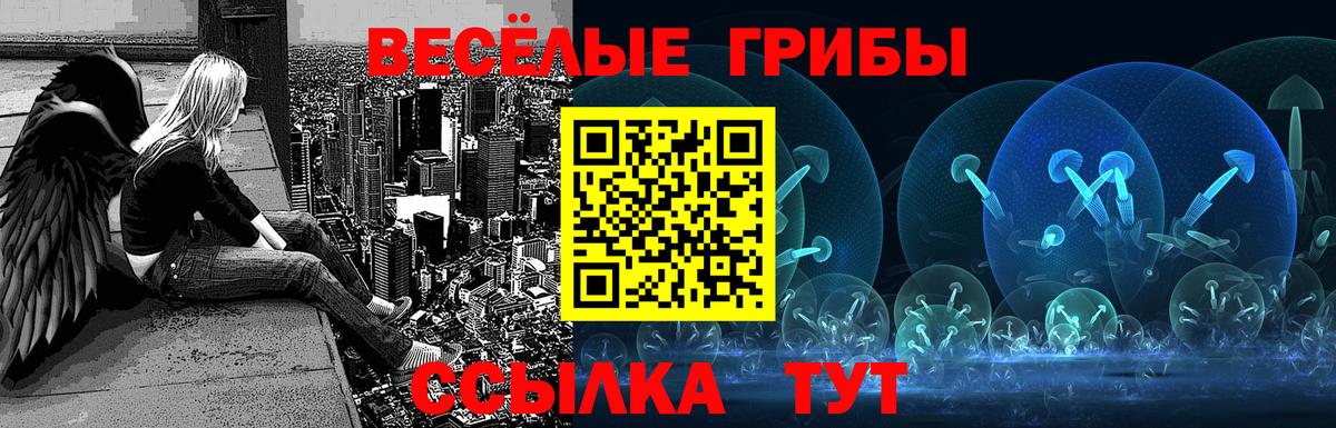 Псилоцибиновые грибы Magic Shrooms Узловая